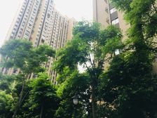 绿地国际花都三期3室2厅东南西南