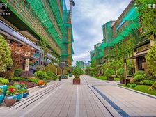 置地双清湾天悦3室2厅南