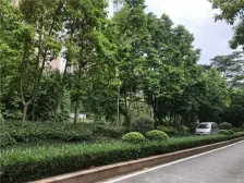 鸣翠苑别墅、155方+180方花园、环境优美