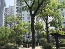 古美罗阳·晶杰苑·3室·2厅