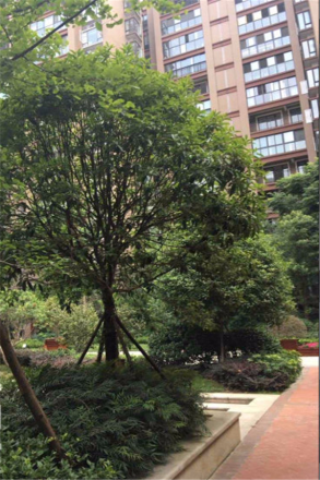 宏达世纪丽景实景图