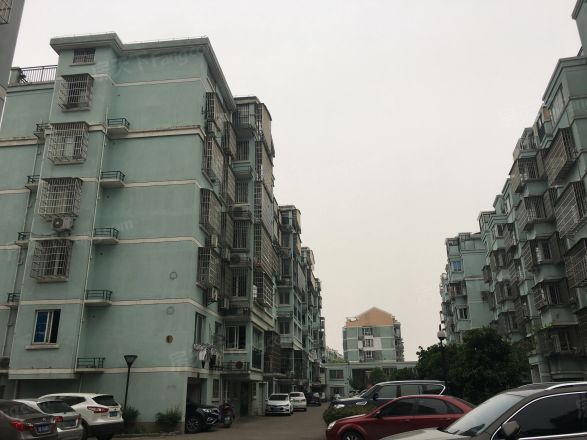 藕池绿荷苑实景图