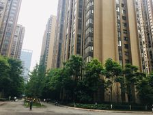绿地国际花都三期1室1厅西南