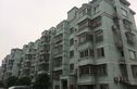 藕池绿荷苑实景图