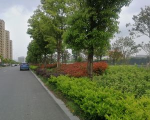 姜山万达旁,精装修 保养很好,诚心出售,看房方便