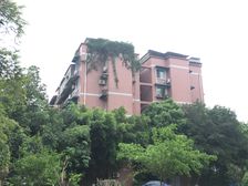 秀水园 2室2厅 东南