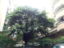 美业阁 近地铁 高铁站 配套 成熟