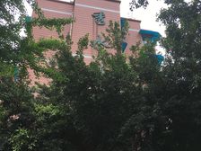 秀水园 2室1厅 西南