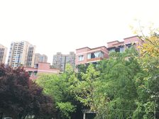 秀水园 3室2厅 西南