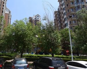 明天第一城1号院1室0厅东北