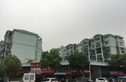 藕池绿荷苑实景图