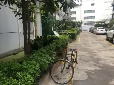 黄浦区 喜侬小区 急卖 可谈 小区环境好 幽静 地段好