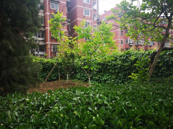 金家村1号院实景图