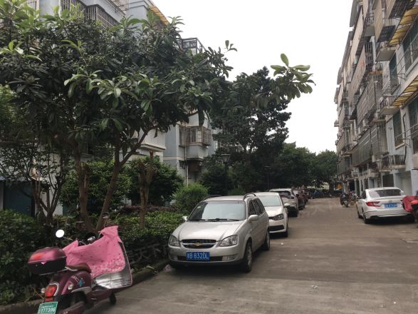 藕池绿荷苑实景图