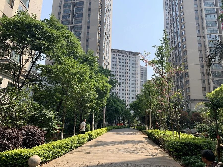 小区相关图