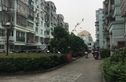 藕池绿荷苑实景图