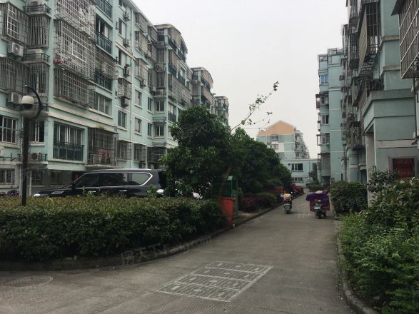 藕池绿荷苑实景图