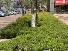 新上万科蓝山两室精装修中间楼层有钥匙随时看房