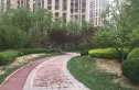 熙悦春天实景图