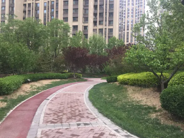 熙悦春天实景图