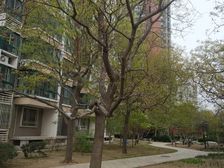 丽水嘉园顶层下跃南北通透景观好