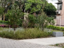 近地铁,毛坯 产权清晰 现场实勘,必看好房