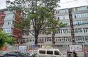花园东路16号院实景图