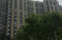 熙悦春天实景图