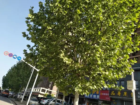 花乐亿家实景图