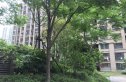 汉阳人信汇二期实景图