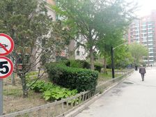 十里堡 · 都会华庭 · 正规4居,一层看花园,满五年唯一