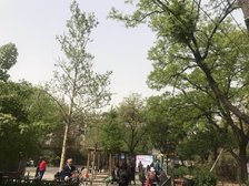 二环边劲松二区中间层南向两居全明采光好近地铁