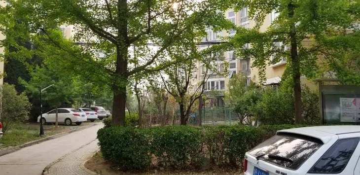 机场樱花园二区实景图