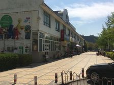 宁馨苑电梯房复式南北通透