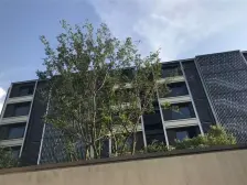 洋房高档社区,复旦二附精装60万,拎包入住