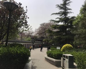 劲松·劲松五区·2室·1厅