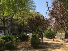 宁馨苑低楼层大三居,满五唯一,近地铁,配套齐全