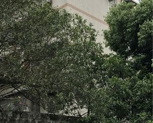 知贤坊 1室1厅 东