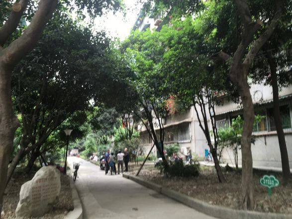 华油苑实景图