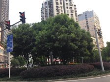 加州新牌坊 富悦华康二房