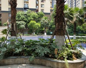 融创凯旋公馆 3室1厅 东南