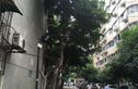 华油苑实景图