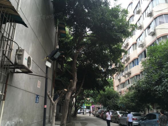 华油苑实景图