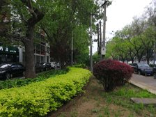 东大桥·工体东路·南向,两居室,装修好,电梯房