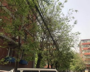 劲松二区双卧朝南高层无遮挡满五年唯一通透两居