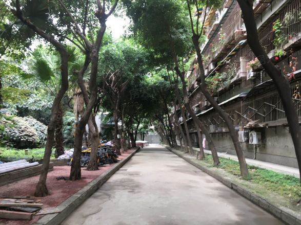 华油苑实景图