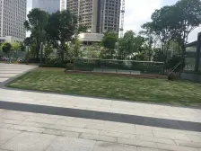 一线千灯湖景观,靓楼层,业主诚心出售