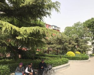 劲松五区2室1厅南北