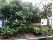 近地铁 通风好 采光好,满五 必看好房