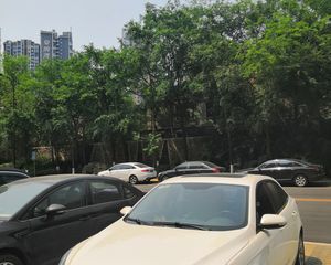 滨江河畔3室2厅东北